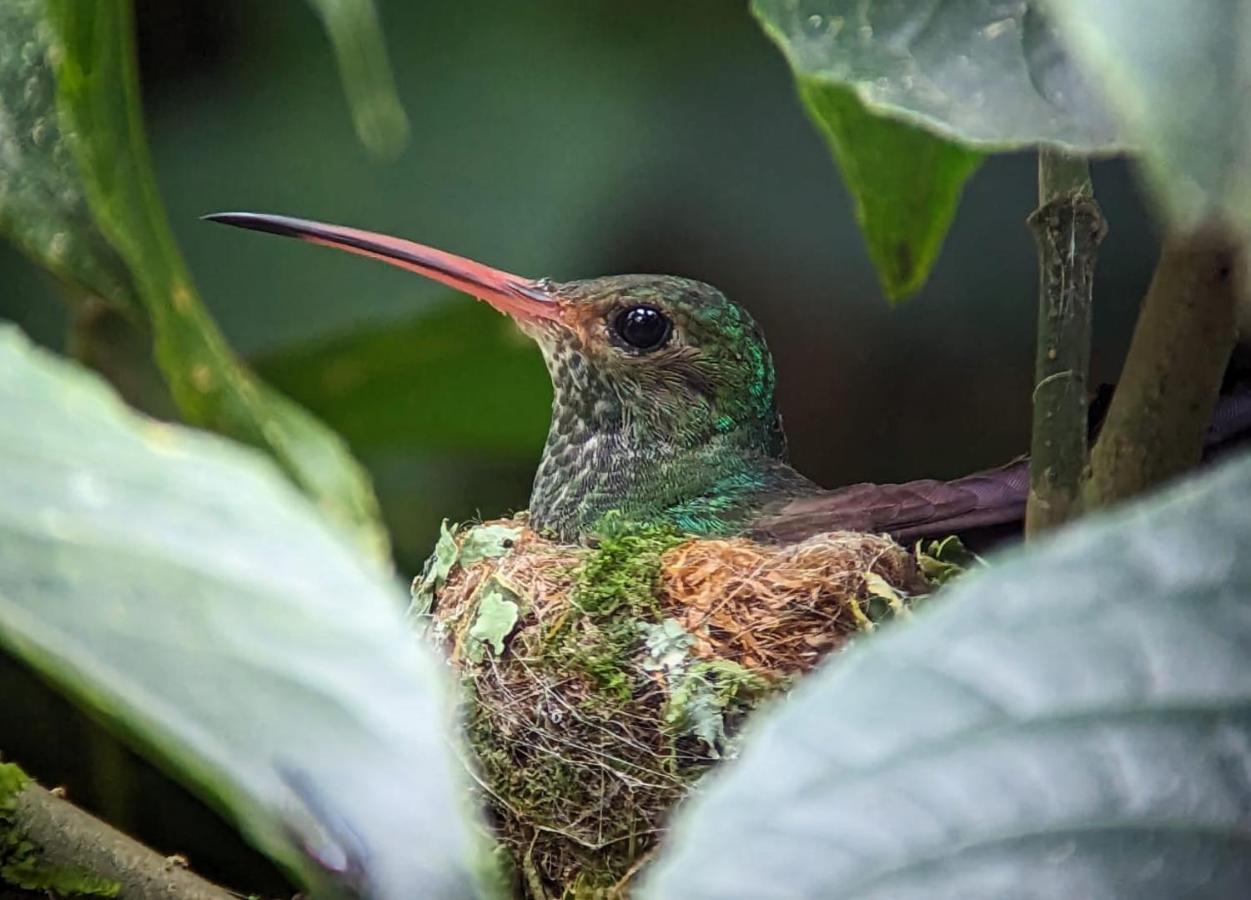 Sendero De Las Aves 민도 외부 사진