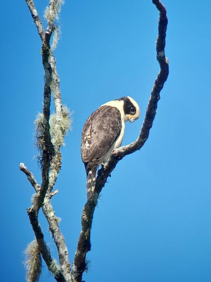 Sendero De Las Aves 민도 외부 사진