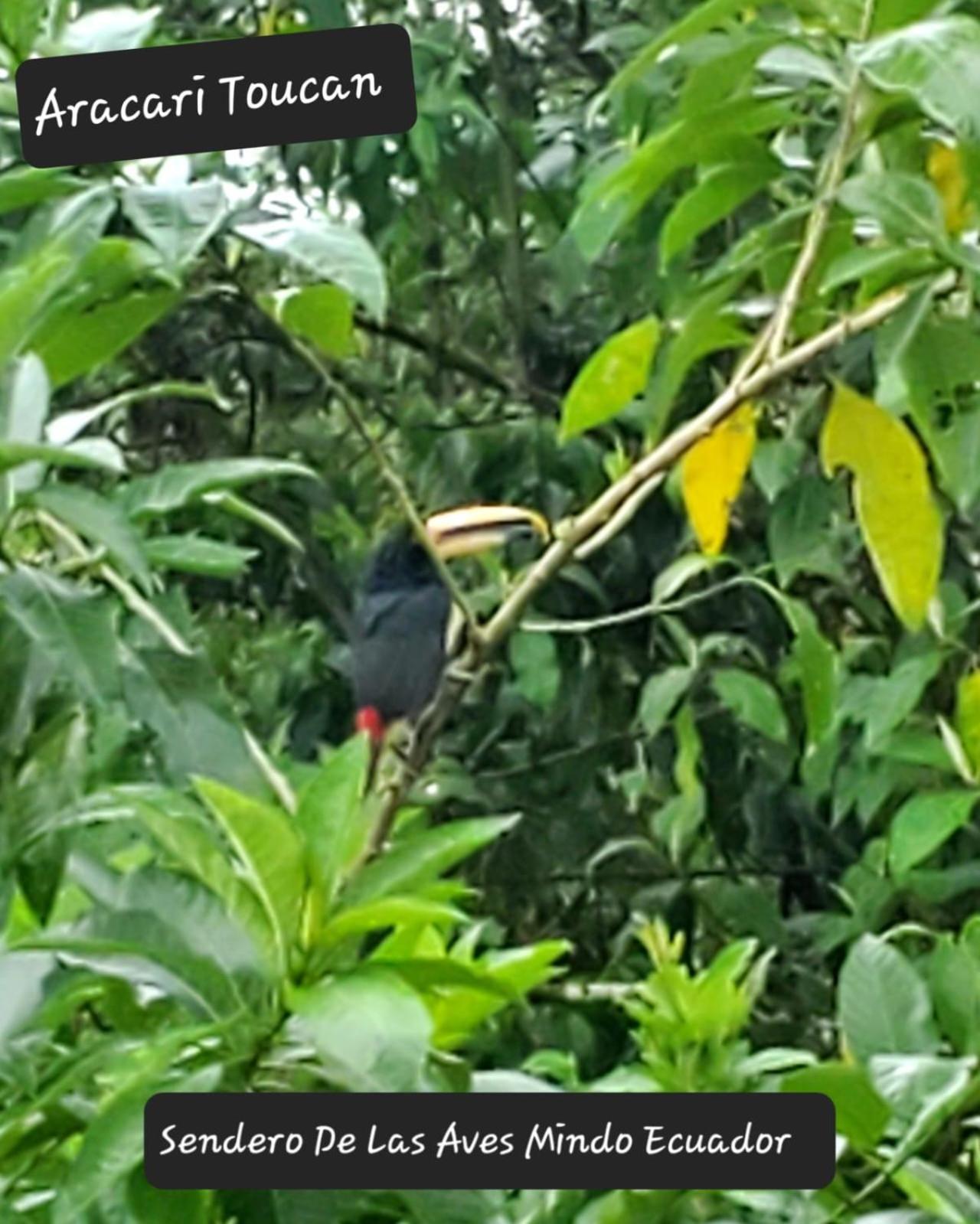 Sendero De Las Aves 민도 외부 사진